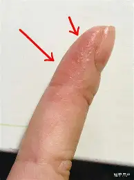 哈兰德联赛已进19球冲上热搜(埃尔林哈兰德创造惊人的进球记录)|DB刮刮乐游戏平台